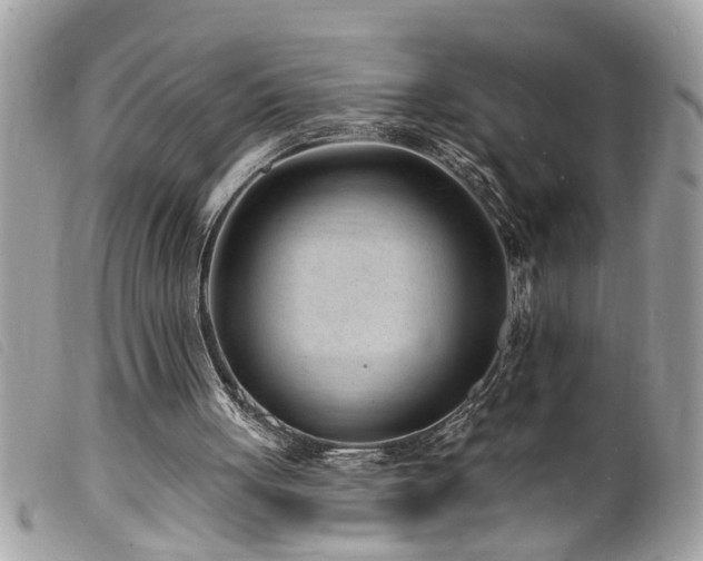 X0000100210051200805301334