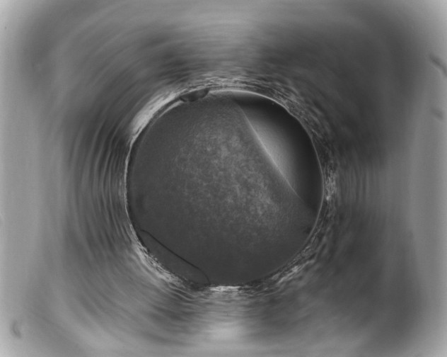 X0000100210052200805301334