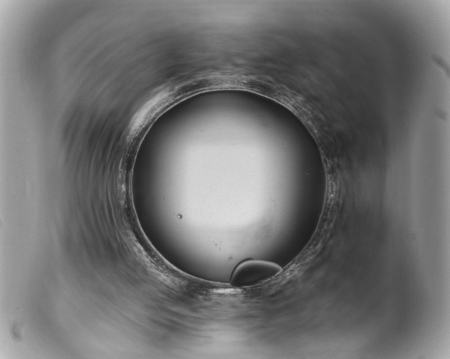 X0000100210053200805301334