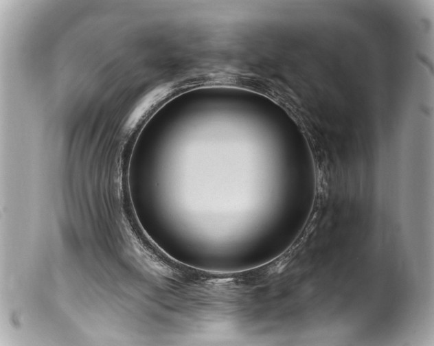 X0000100210054200805301334