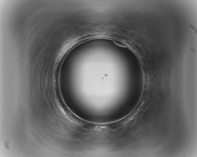 X0000100210055200805301334