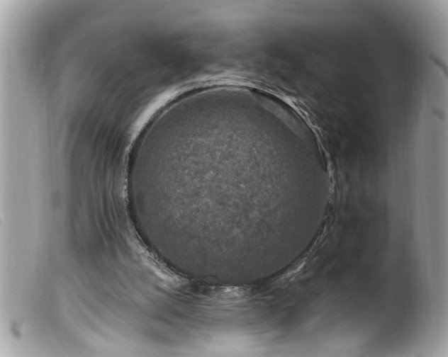 X0000100210056200805301334