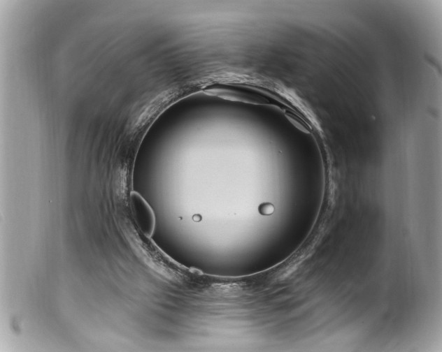 X0000100210057200805301334