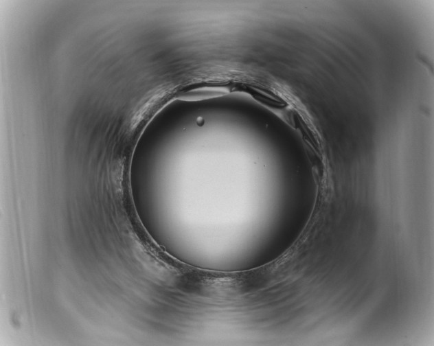 X0000100210058200805301334