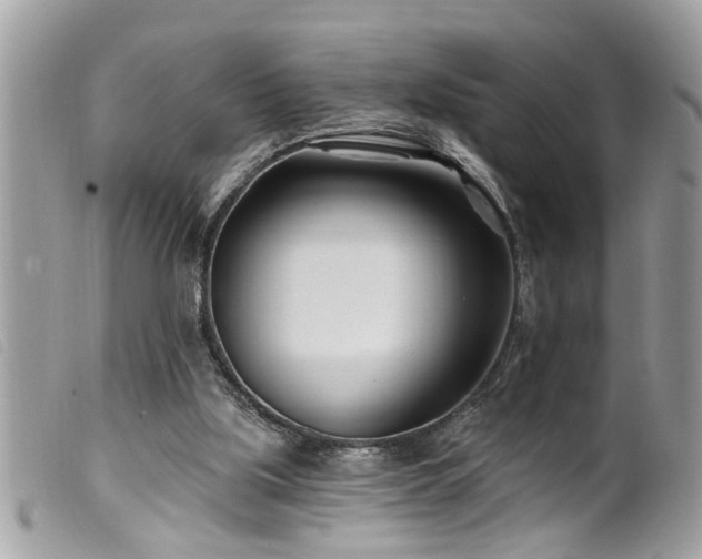 X0000100210059200805301334