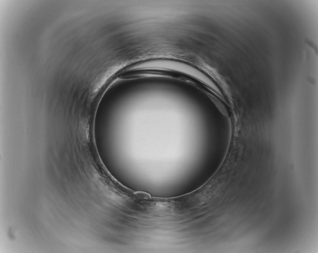 X0000100210060200805301334