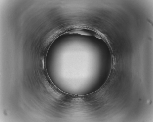 X0000100210061200805301334