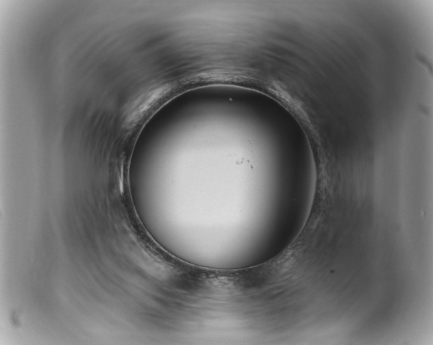 X0000100210062200805301334