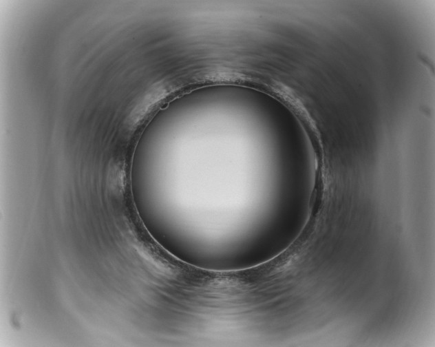 X0000100210063200805301334