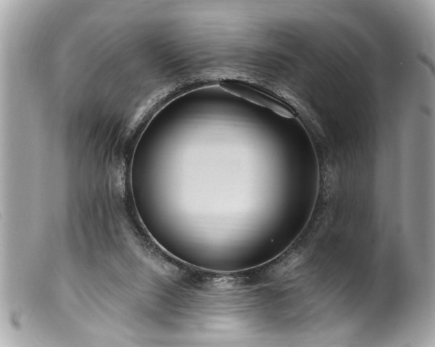 X0000100210064200805301334