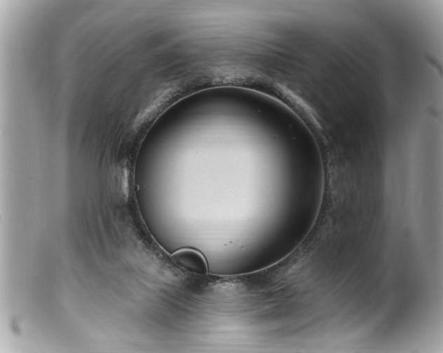 X0000100210067200805301334