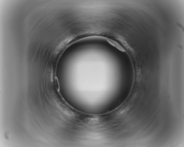 X0000100210068200805301334