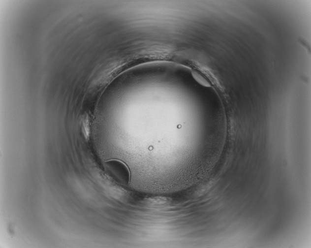 X0000100210069200805301334