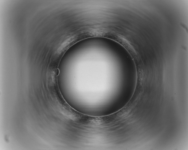 X0000100210071200805301334