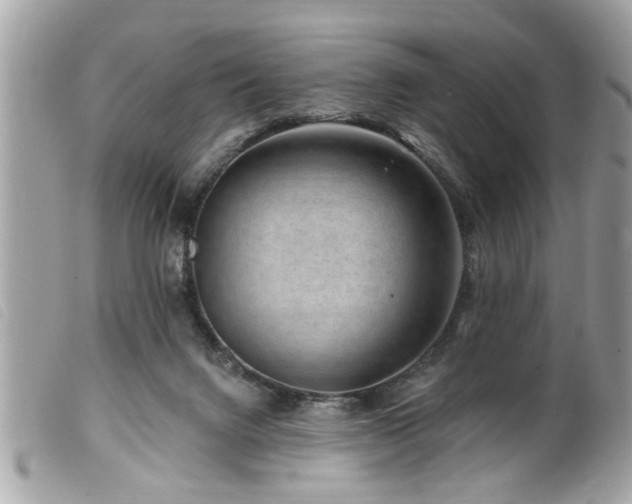 X0000100210072200805301334