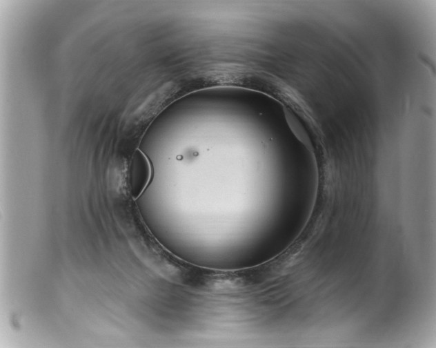 X0000100210073200805301334