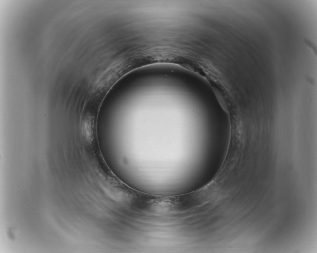 X0000100210074200805301334