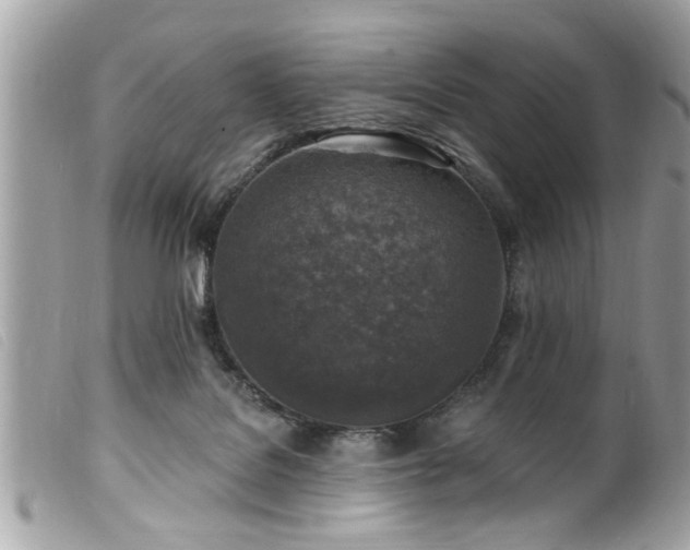 X0000100210076200805301334