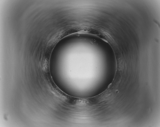 X0000100210077200805301334