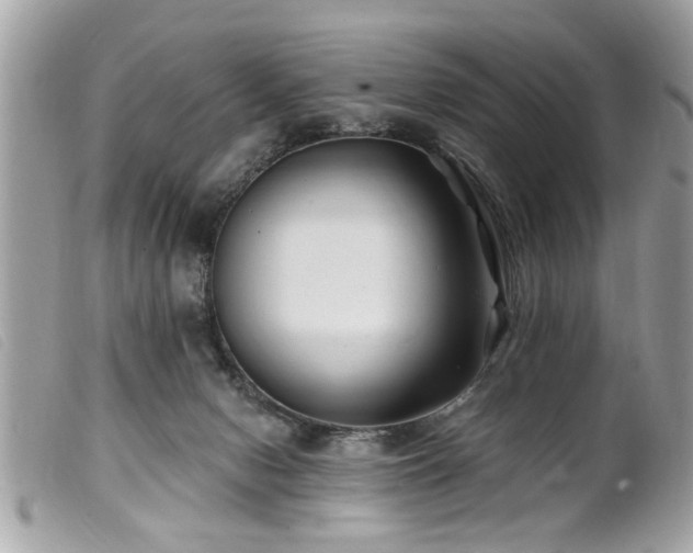 X0000100210078200805301334