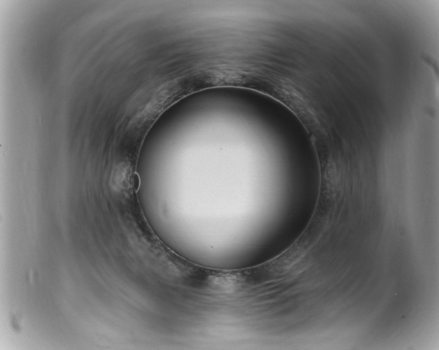 X0000100210079200805301334