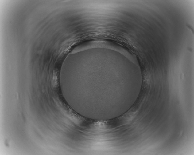 X0000100210080200805301334