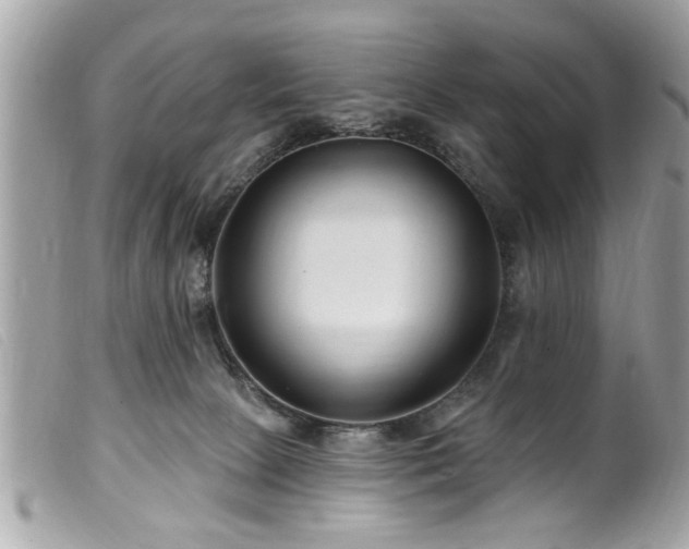 X0000100210081200805301334