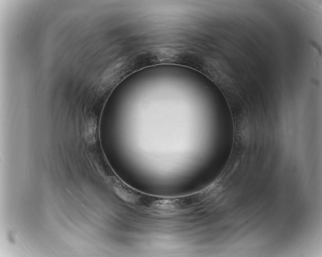 X0000100210082200805301335