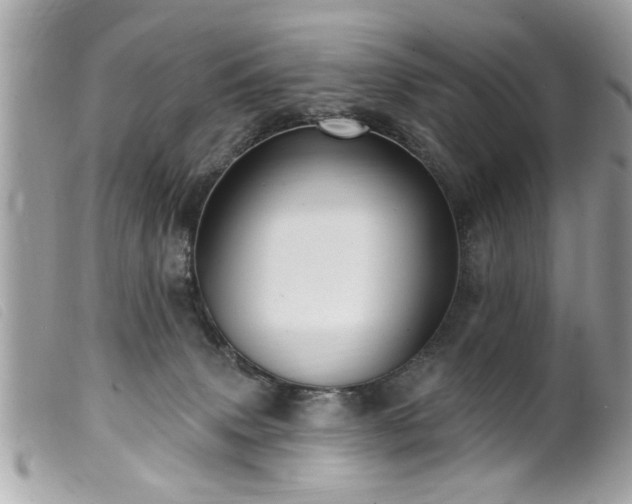 X0000100210083200805301335