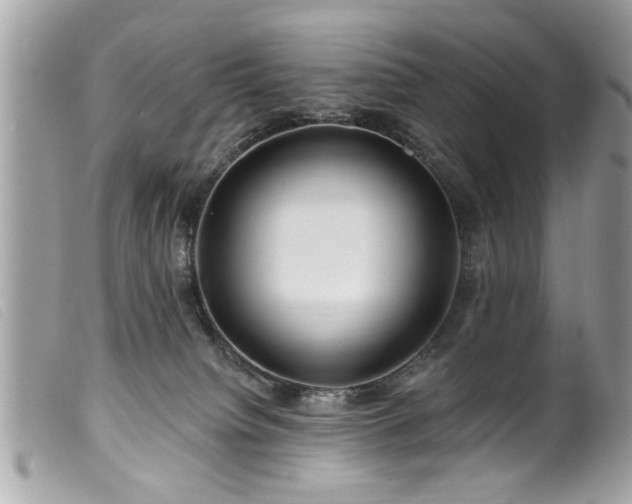 X0000100210084200805301335