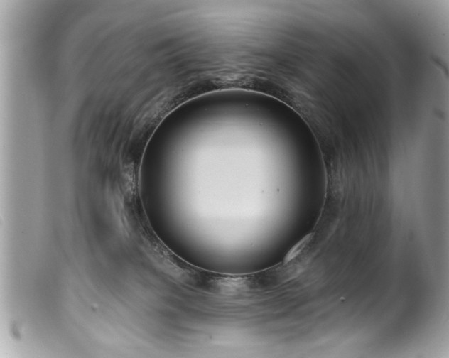 X0000100210085200805301335