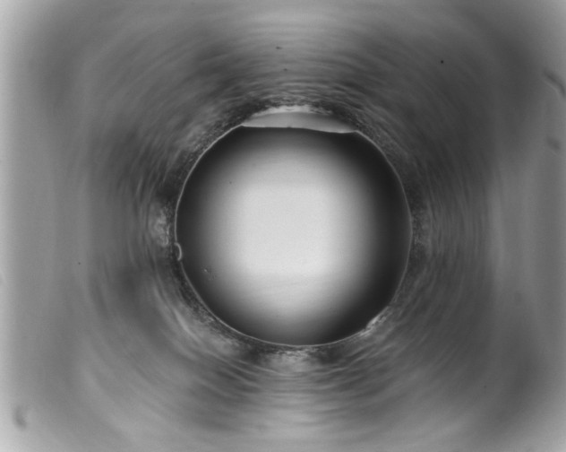 X0000100210086200805301335