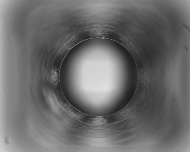 X0000100210087200805301335