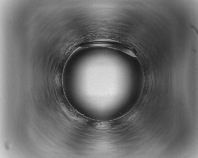 X0000100210088200805301335