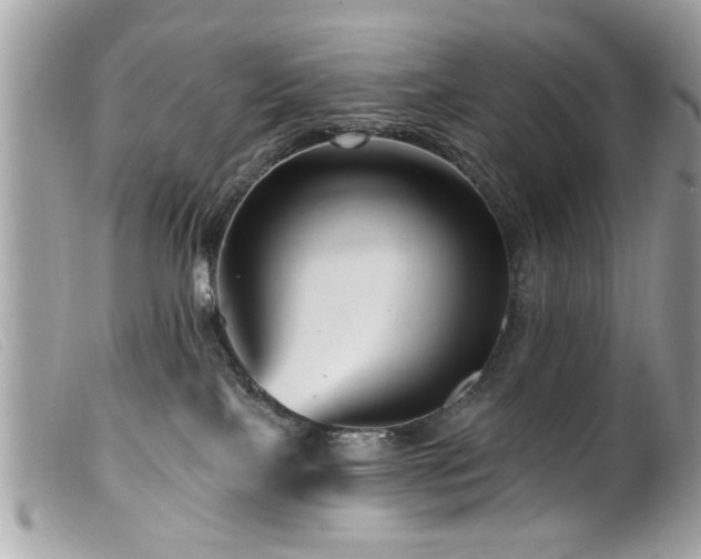 X0000100210089200805301335