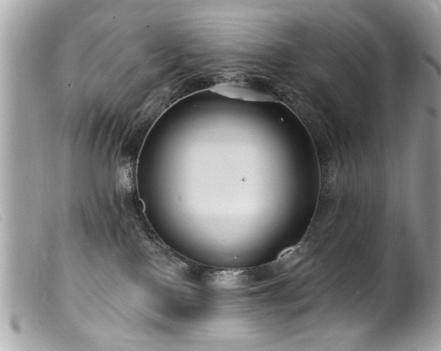 X0000100210090200805301335