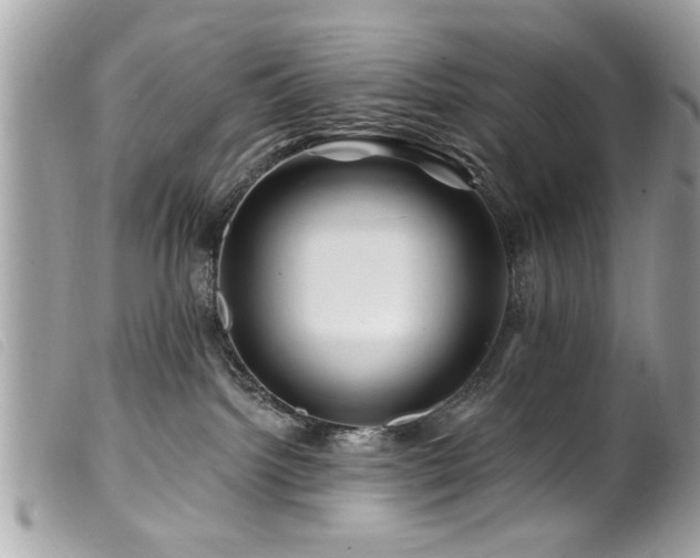 X0000100210092200805301335