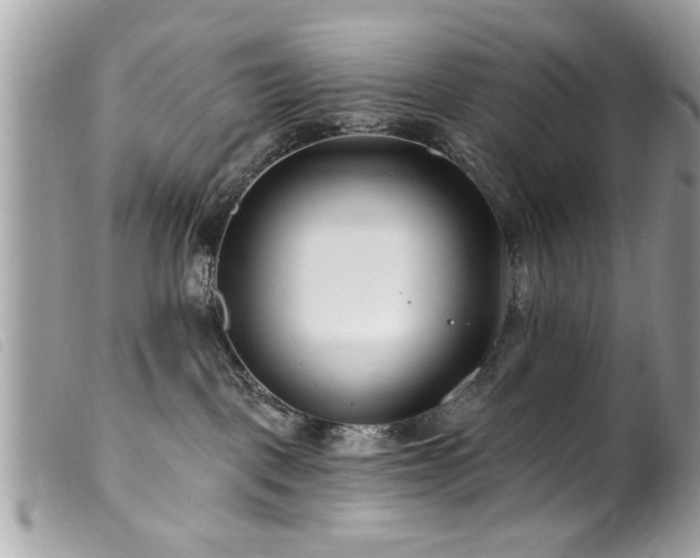 X0000100210093200805301335