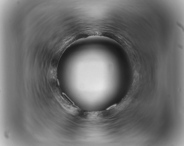 X0000100210096200805301335