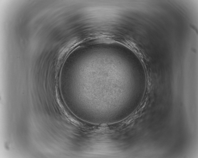 X0000100210097200805301334