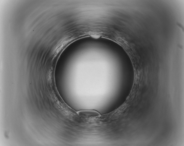 X0000100210098200805301334