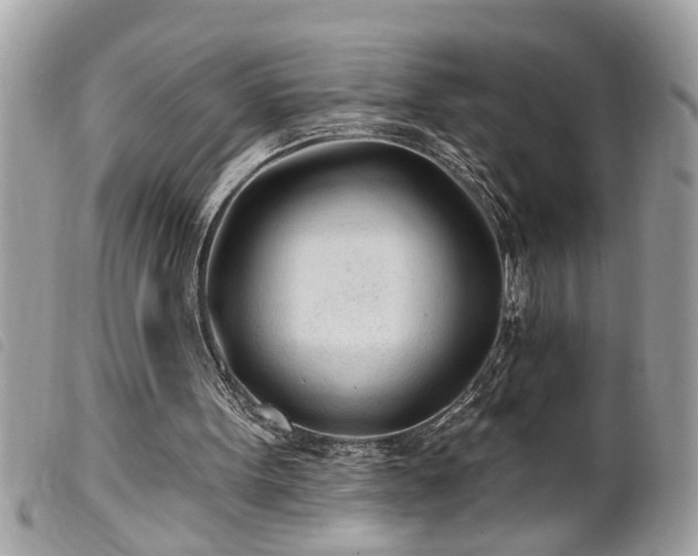 X0000100210099200805301334