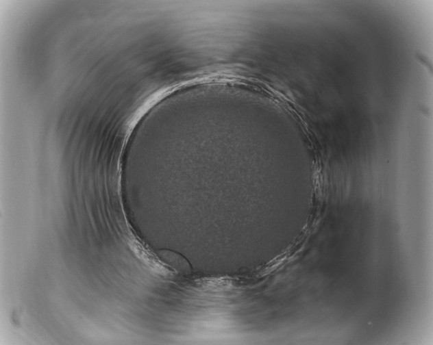 X0000100210100200805301334