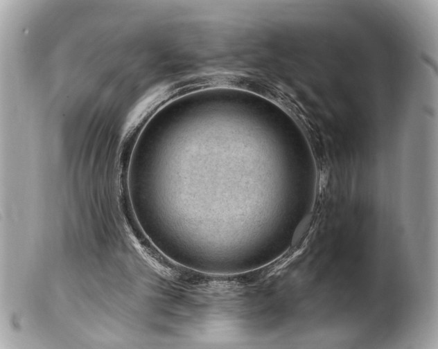 X0000100210101200805301334