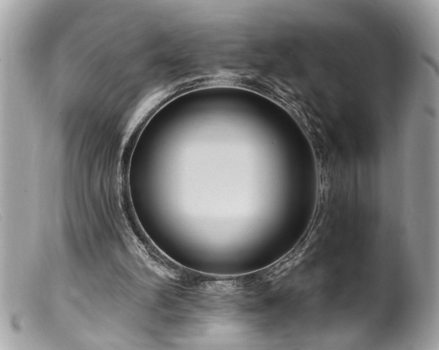 X0000100210102200805301334