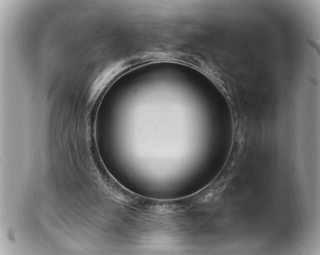 X0000100210103200805301334