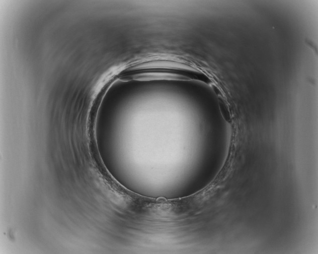 X0000100210104200805301334