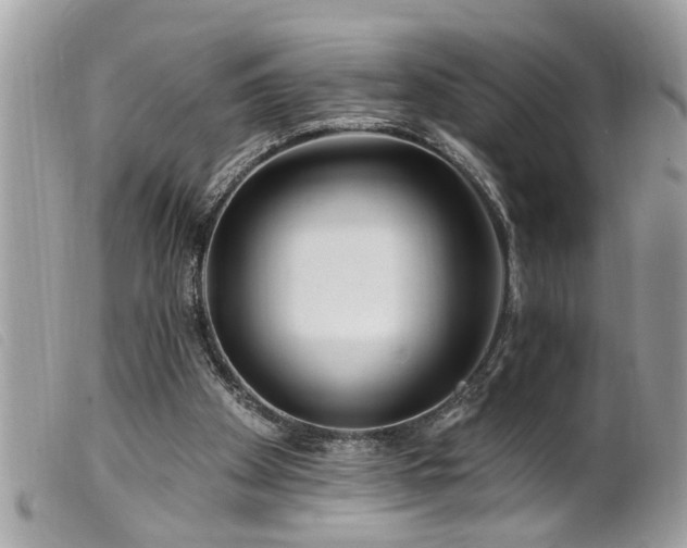 X0000100210105200805301334