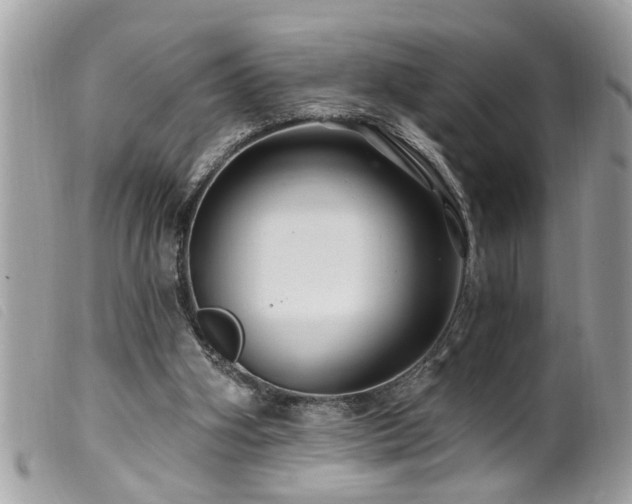 X0000100210106200805301334