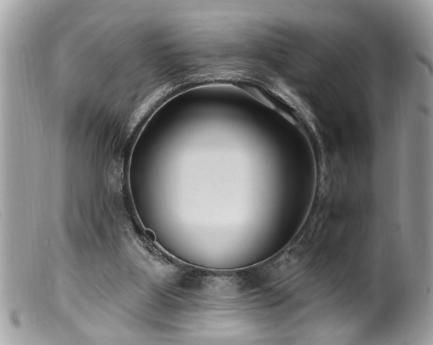 X0000100210107200805301334